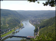 View from the thick beech in the forrest down into the valley of the Mosel