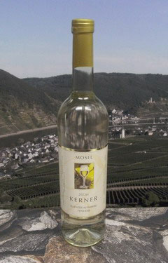 2025er Ellenzer Altarberg Kerner Qualit�tswein. Feinherber Wei&szlig;wein der Rebsorte Kerner aus der Weinlage Ellenzer Goldb&auml;umchen