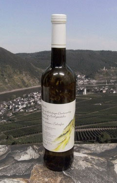 2025er R&uuml;berberger Domherrenberg Riesling-Hochgew&auml;chs vom grauen Schiefer. Feinherber Wei&szlig;wein der Rebsorte Riesling aus der Weinlage R&uuml;berberger Domherrenberg