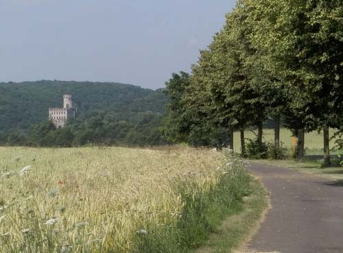 Die Radwege in Eifel- und Hunsrück führen abwechslungsreich durch Felder und kleinere Täler - im Bild zu sehen ist die Burg Pyrmont nahe Roes / Pillig welche aus dem Elzbachtal hervorragt