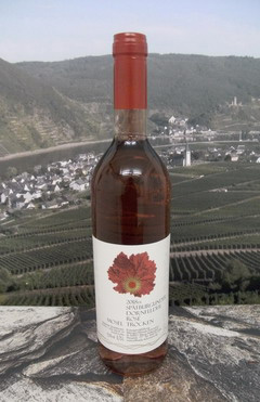 Rosé - A wine from red grapes of the varieties Dornfelder and Pinot Noir (Spätburgunder)