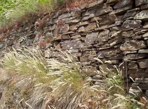 Trockenmauer am Wanderweg Erlebnis Moselkrampen