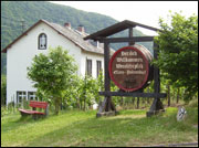 Le chemin de la leçon du vin dans les vignobles au-dessus d'Ellenz - Poltersdorf vous invite à faire une randonnée tranquille